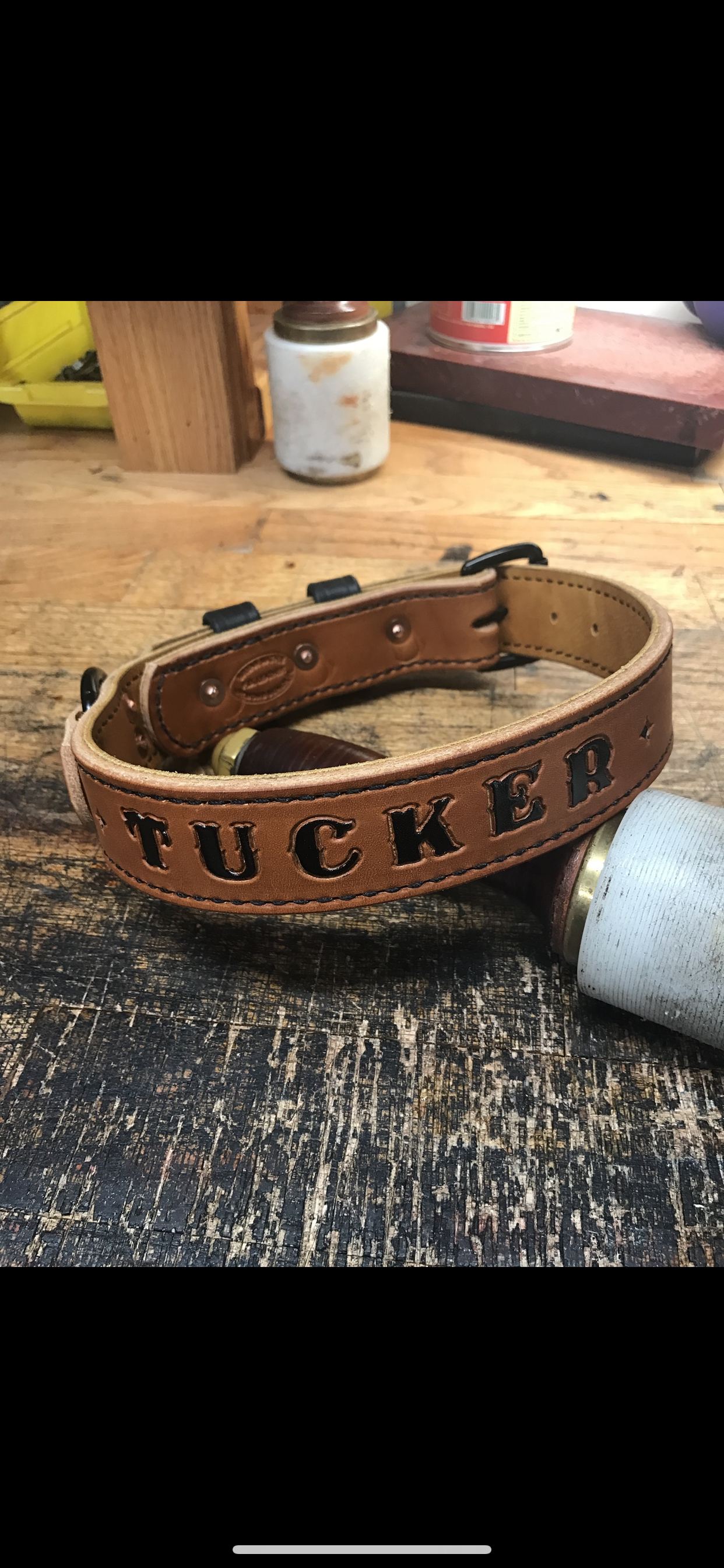 brass dog collar hardware