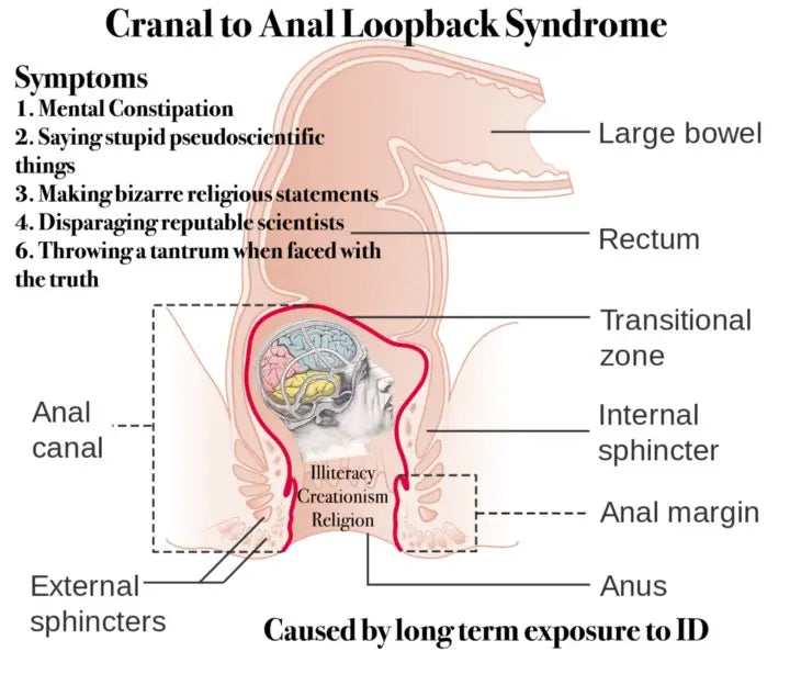 Cranal to Anal Loopback Syndrome