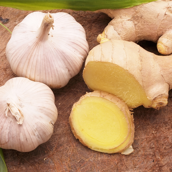 Garlic and ginger for Japanese cooking