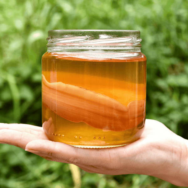 Holding Glass of Kombucha