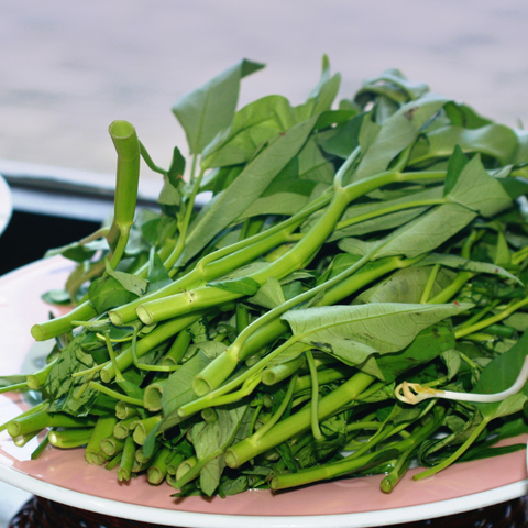 Kangkong - water spinach