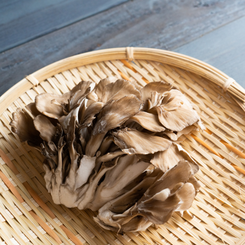 Maitake Japanese mushrooms
