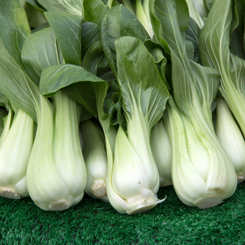 Pak choi