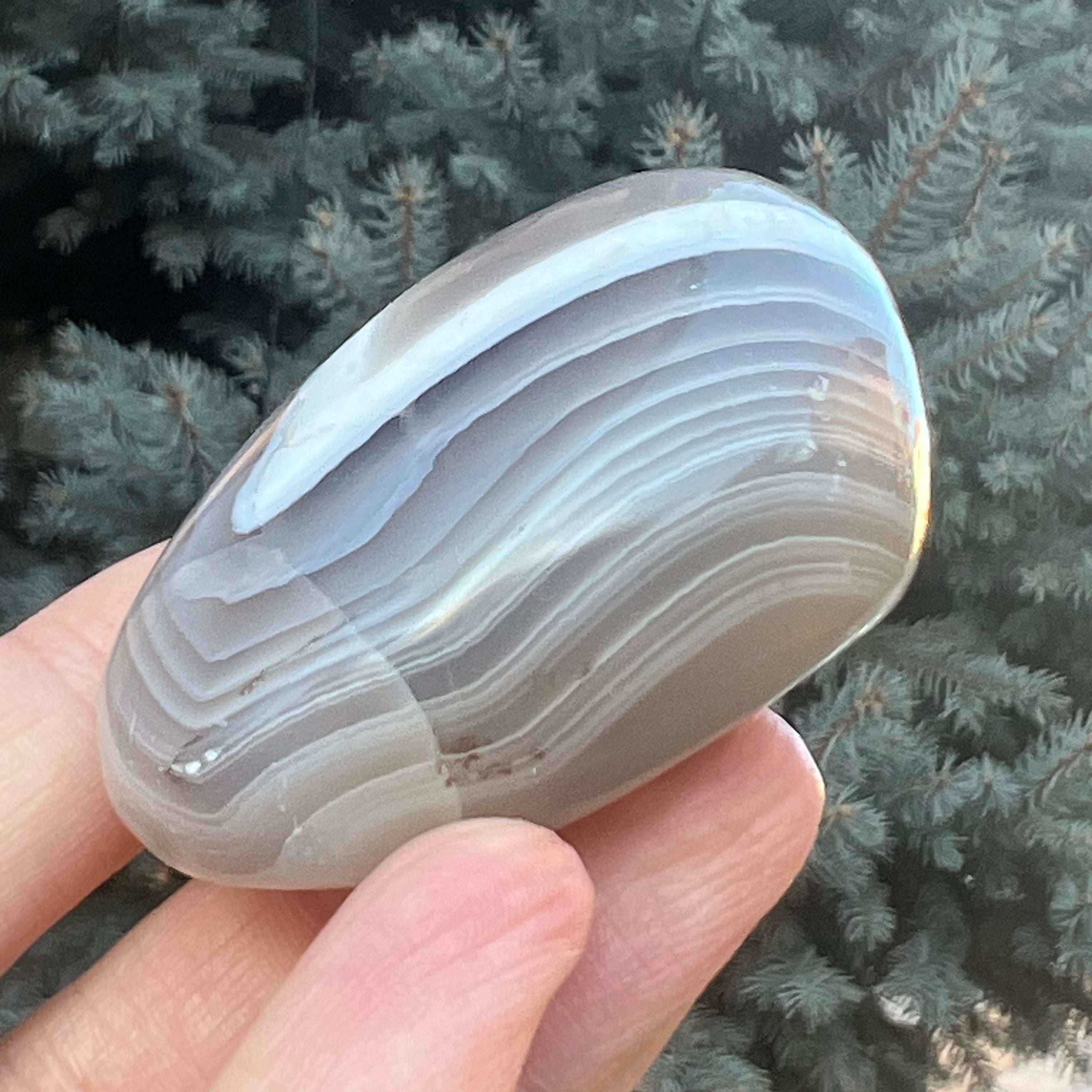 Agat de Botswana palm stone m2A