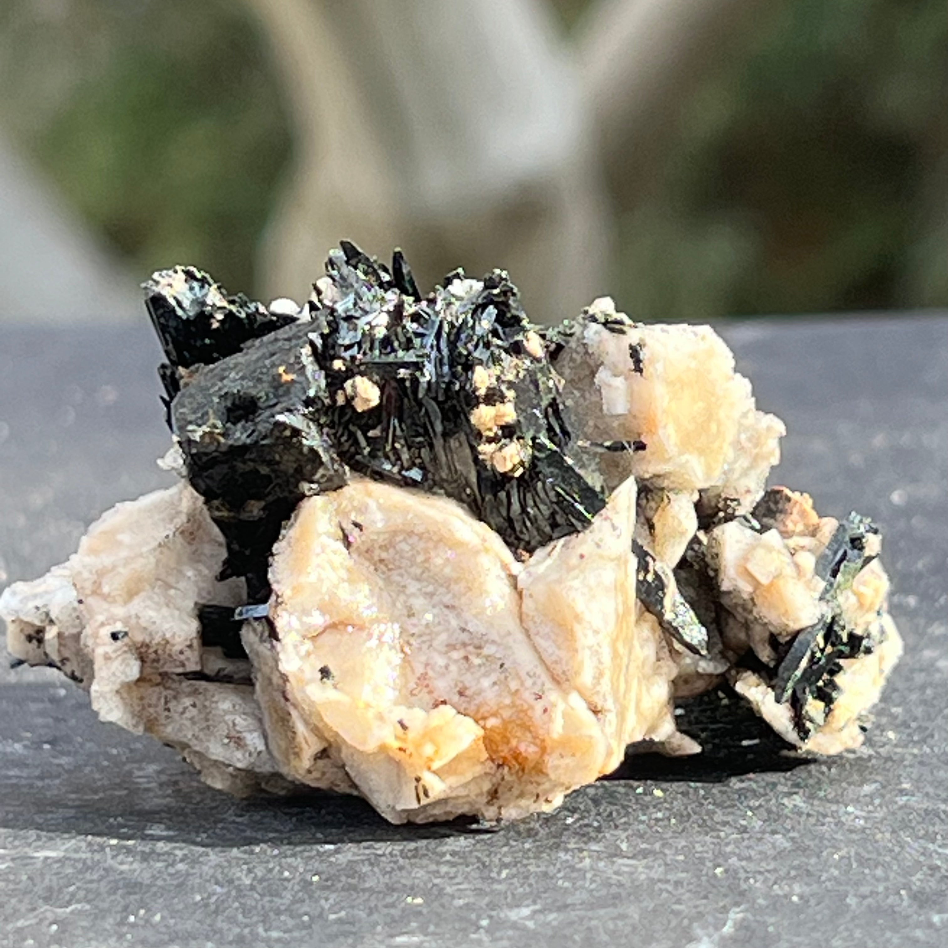Cluster egirin mini cuart fumuriu/negru Zomba m12