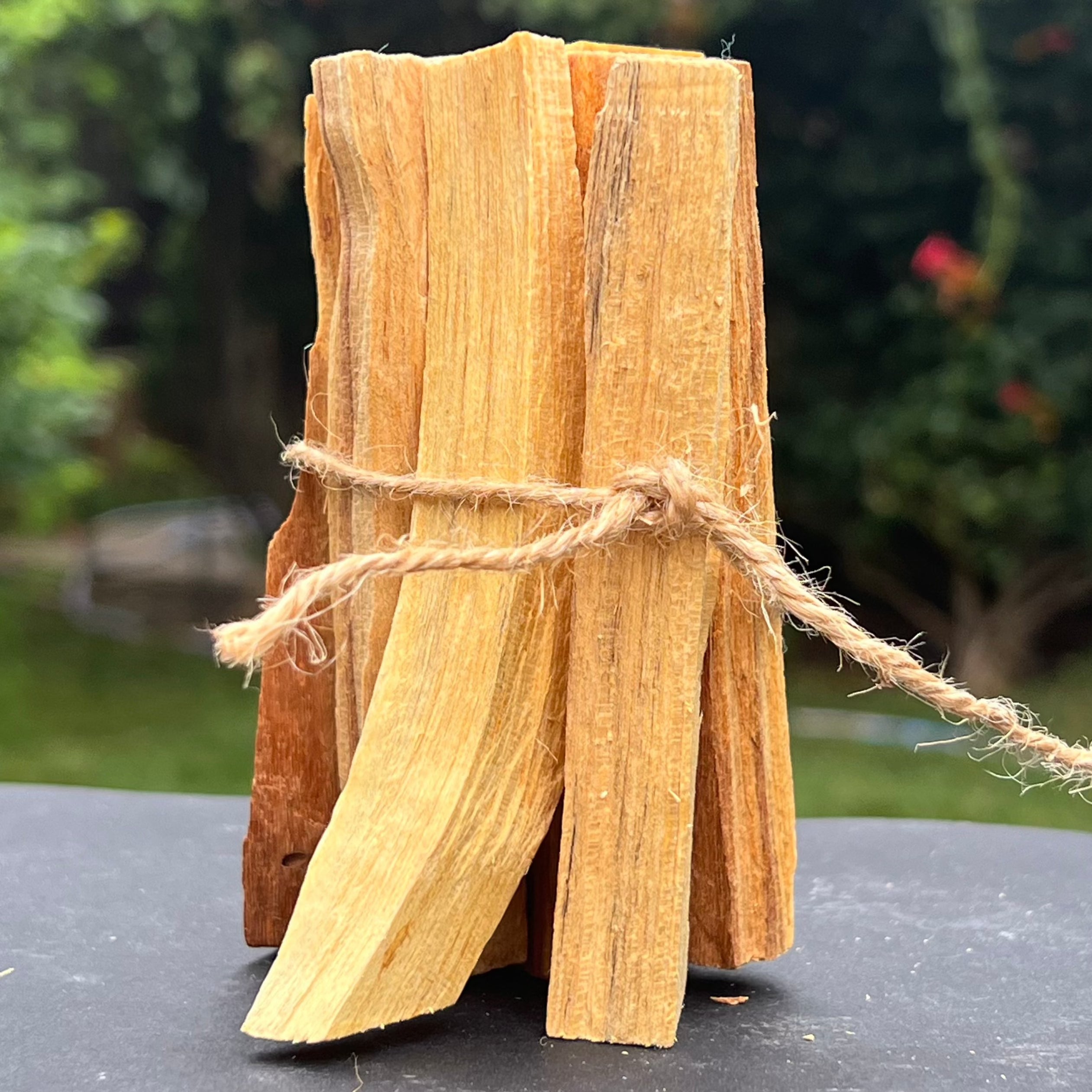 Lemn Palo Santo 10 bucati