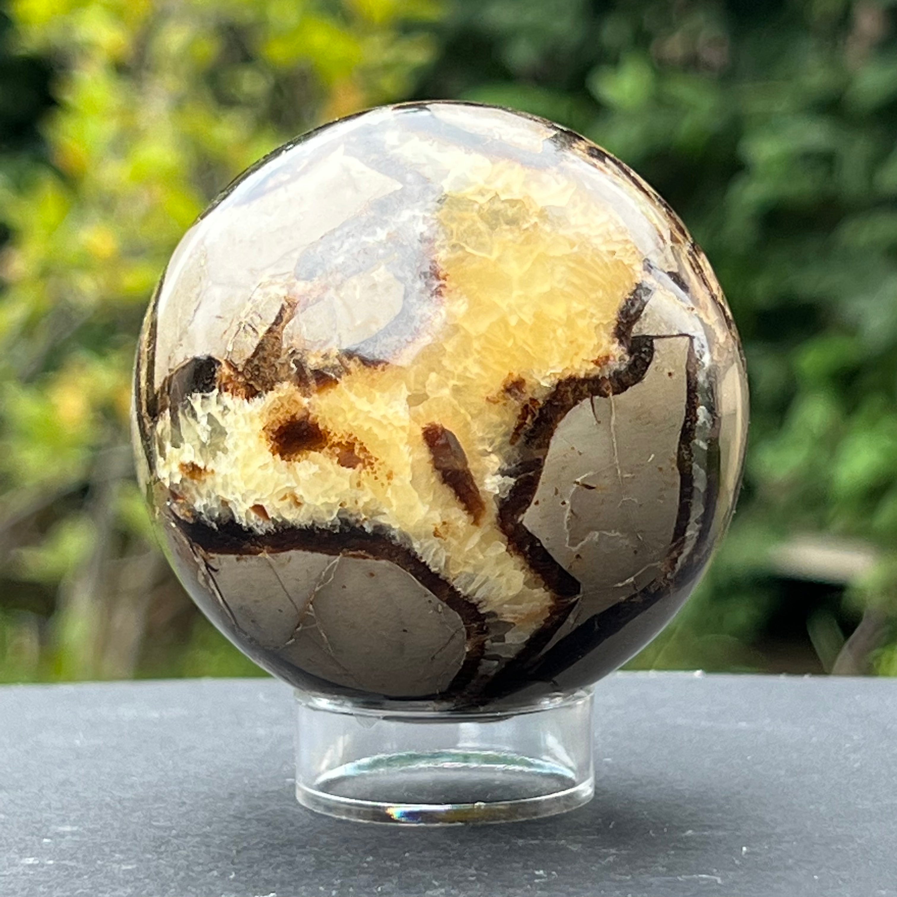 Sfera septaria 6 cm