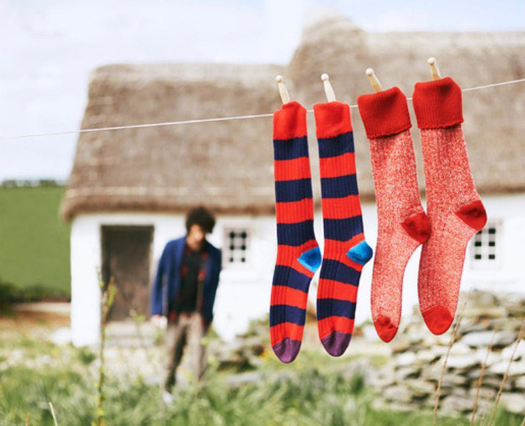 Corgi socks on the line set against a rural background