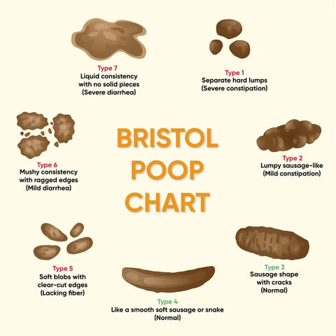 Bristol Poop Chart, poop texture, gut health, microbiome health, stool health, stool chart, stool analysis, naturopathy, holistic health