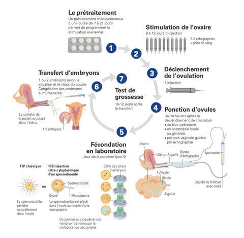 Shema du parcours FIV