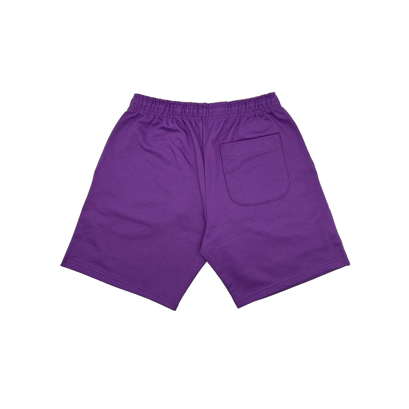 Men Logo Shorts Knit (Purple)