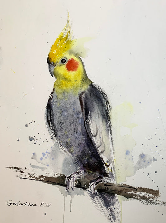 cockatiel paintings