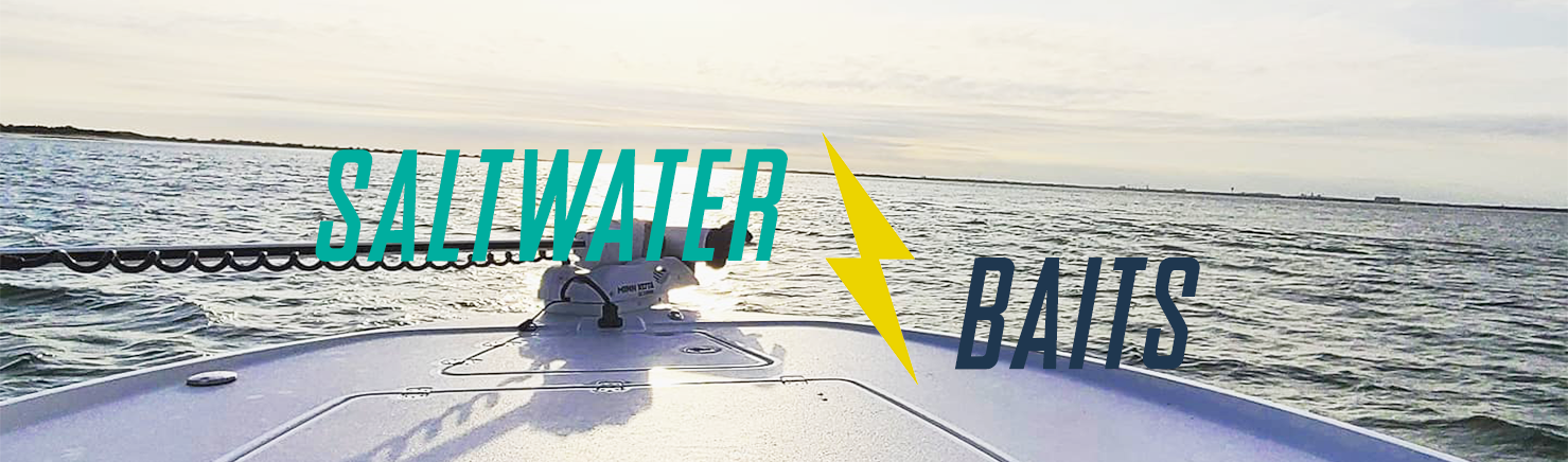 Saltwater Baits  Save More Outdoors
