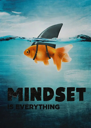 Mindset Is Everything Goldfish Motivational Saying Poster - Aesthetic Wall Decor