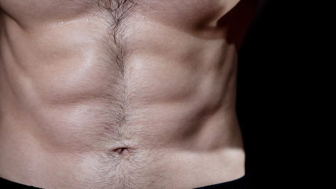 Torso with Six Pack Abs