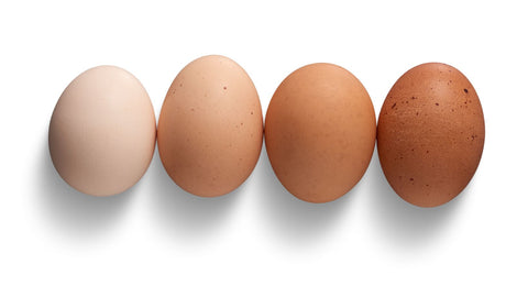 eggs in different colors