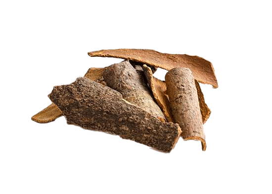 cinnamon bark extract