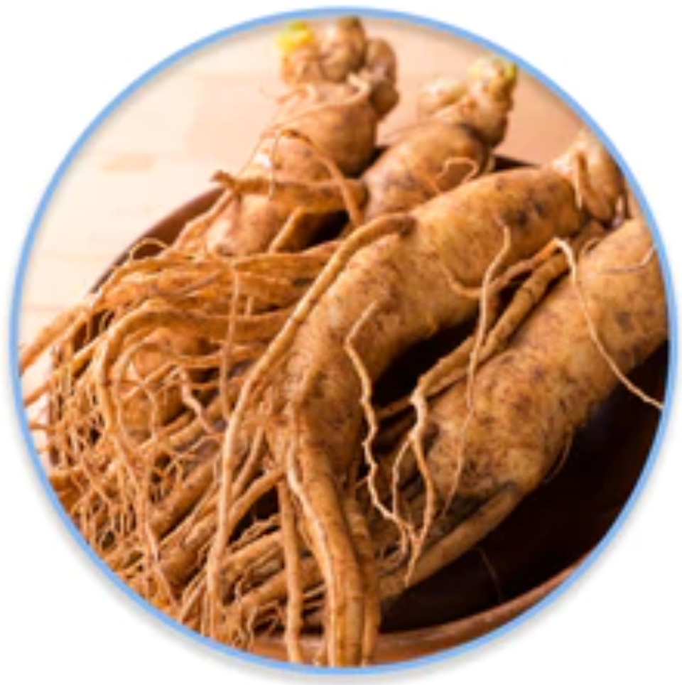 Unitein or Korean Red Ginseng