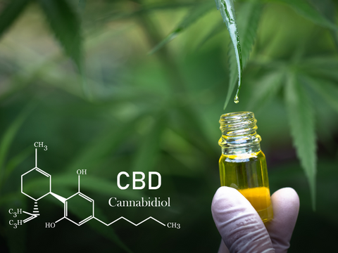 CBD Öl Flasche wird befüllt