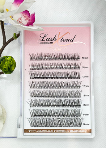 Lash Cluster