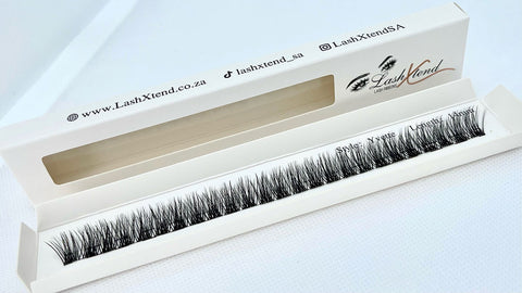 lashxtend diy lashes