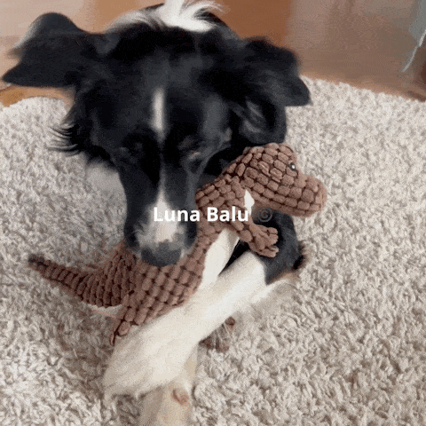 Interaktives & Bewegendes Hunde Plüschtier – bella-und-balou
