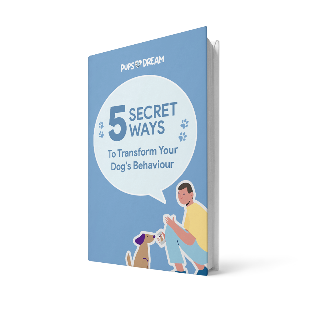 eBook 5 Secret Ways To Transform Your Dogs Behaviour - PupsDream product image