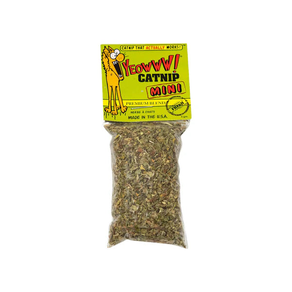 Yeowww! Catnip