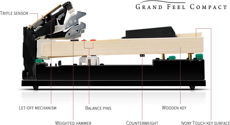 Tìm Hiểu Chi Tiết Về Hệ Thống Action Mới của Piano Điện Kawai