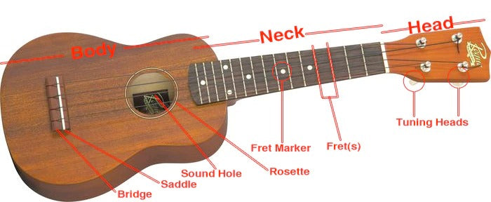 Các Bộ Phận Đàn Ukulele