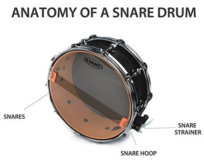 Các bộ phận của Trống Snare:
