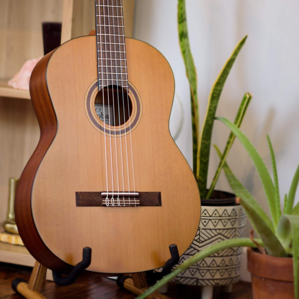 Đàn Guitar Classic Cordoba C3M