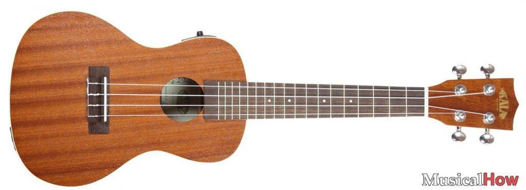 Electric Ukulele