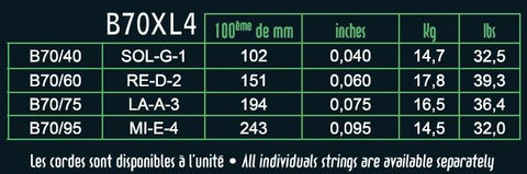 Dây Đàn Guitar Savarez Electric Hexagonal Explosion Bass Extra Light - B70XL4