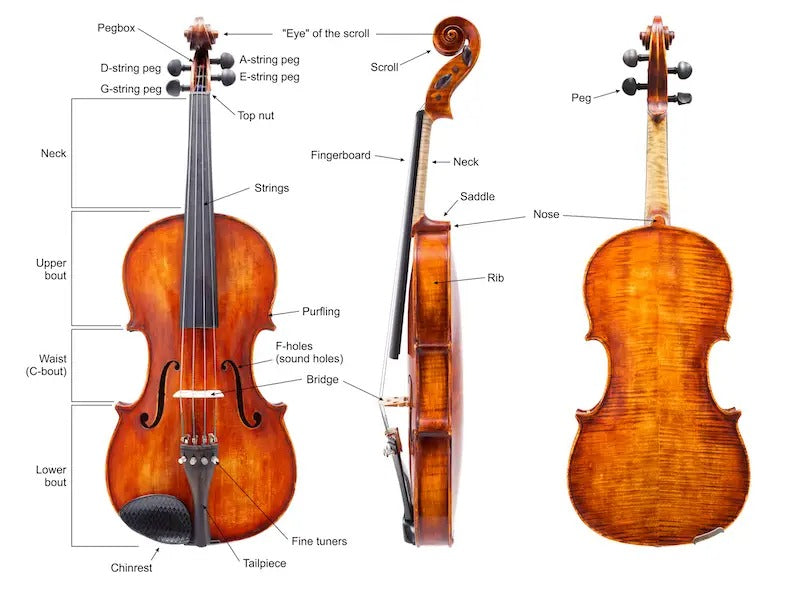Các bộ phận của một cây Violin