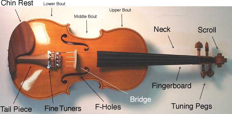 Các Bộ Phận Đàn Violin