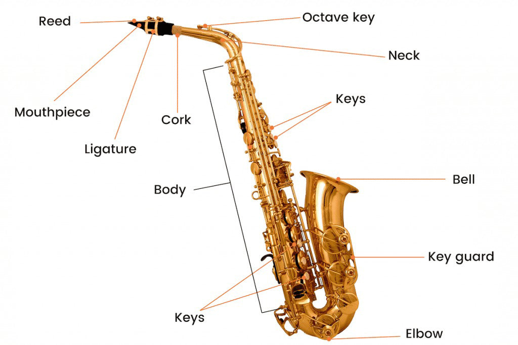 Các Bộ Phận Của Kèn Saxophone