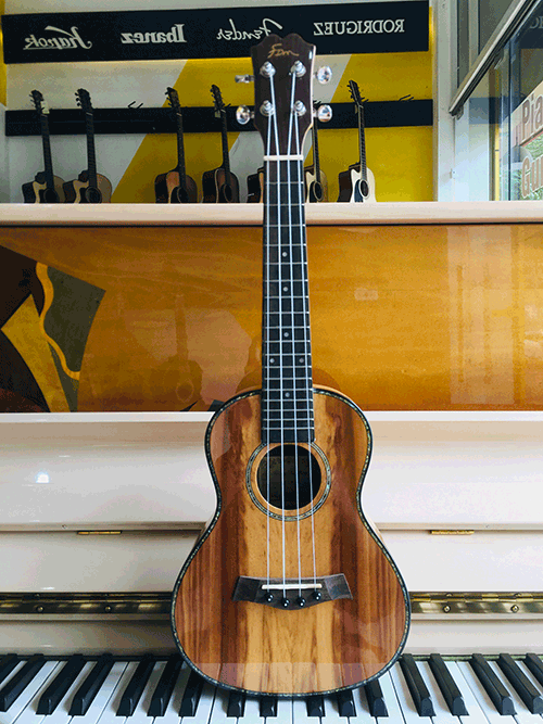 Cây đàn Ukulele cao cấp