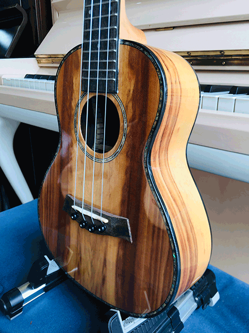 Cây đàn Ukulele cao cấp