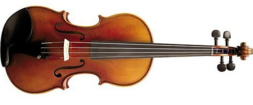 Violin Chuyên Nghiệp