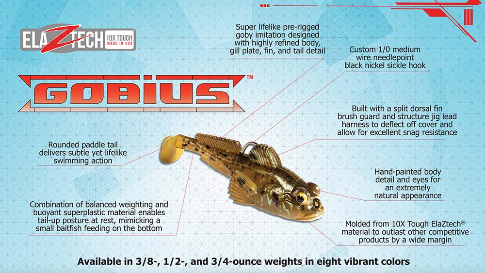 Gobius infographic