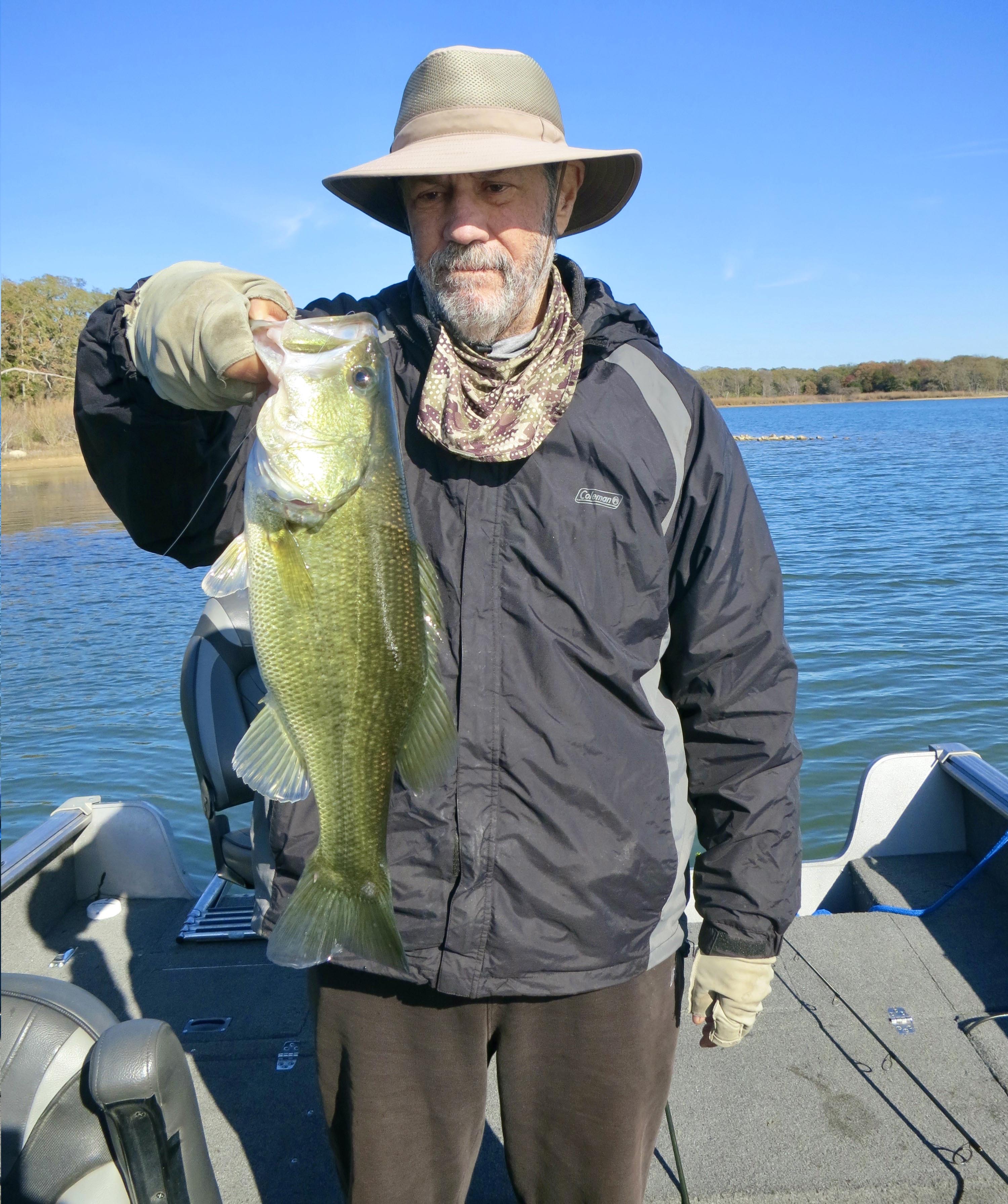 Large Mouth Bass caught on a Z-Man Finesse Bait