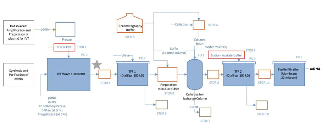 Figure 1-Process of mRNA-IVT production