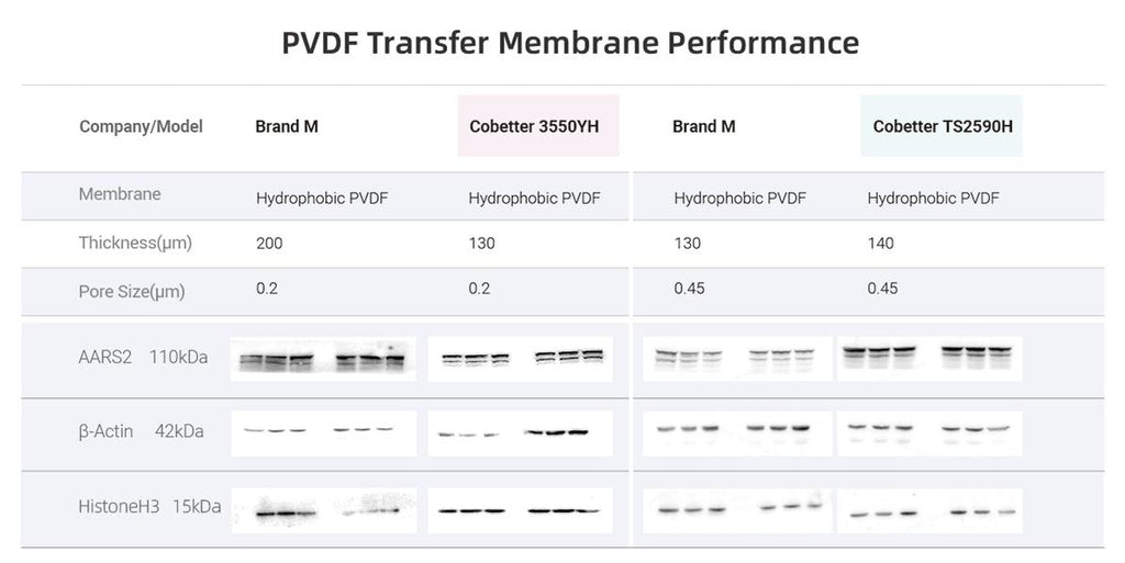 Membrane Performance