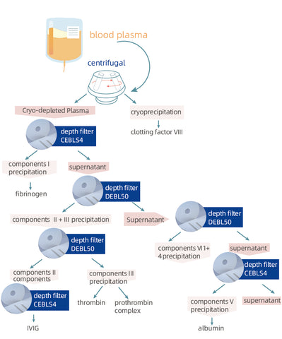 the process of plasma protein products and model recommendations