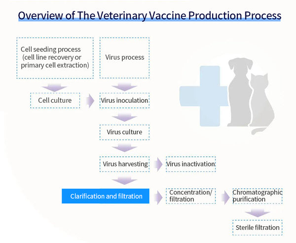 Figure 1 Overview of the veterinary vaccine production process
