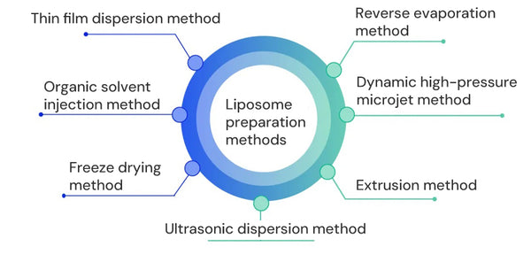Figure 2 Liposome Preparation Methods