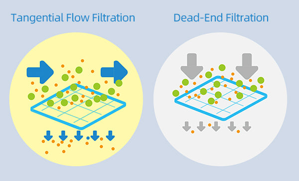 Tangential Flow Filtration vs Dead-end Filtration