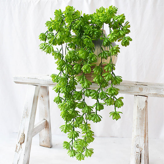 Fake String of Pearls Hanging Plants Vine Shelf Decor Bedroom Aesthetic –  Bloomy Floral