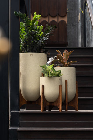 Choosing the Perfect Planter for Your Plants: A Comprehensive Online Guide